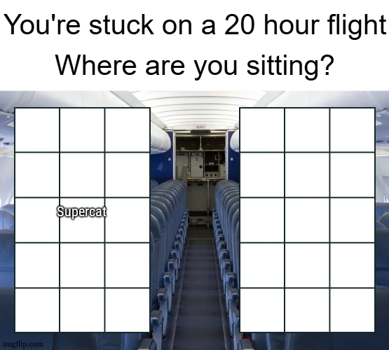 You're stuck on a 20 hour flight | Supercat | image tagged in you're stuck on a 20 hour flight | made w/ Imgflip meme maker