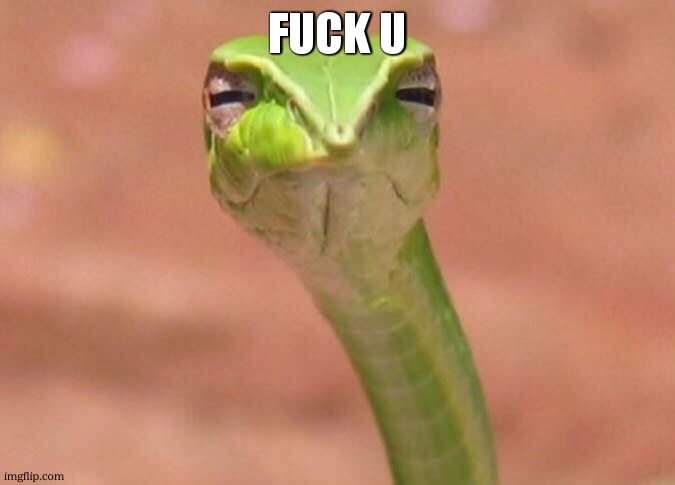 Skeptical snake | FUCK U | image tagged in skeptical snake | made w/ Imgflip meme maker