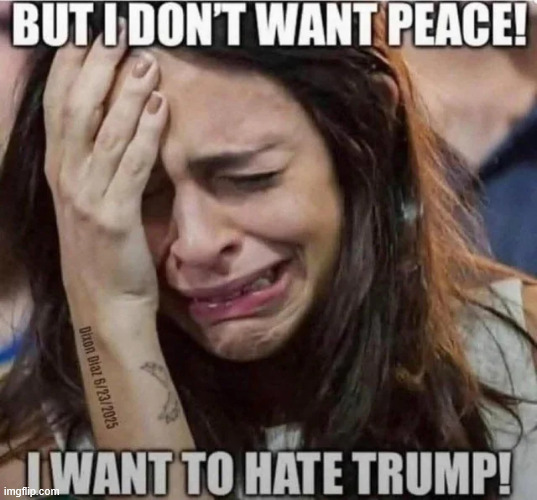 It was never about peace for libs... they're clinging onto their Trump hate | image tagged in derranged liberals,hate trump more | made w/ Imgflip meme maker