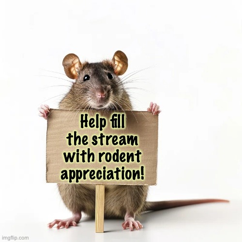 Mouse with sign | Help fill the stream with rodent appreciation! | image tagged in mouse with sign | made w/ Imgflip meme maker