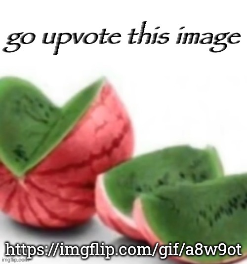 Go upvote this image | https://imgflip.com/gif/a8w9ot | image tagged in go upvote this image | made w/ Imgflip meme maker
