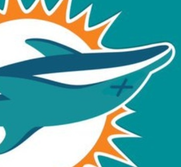 Dead dolphins Blank Meme Template