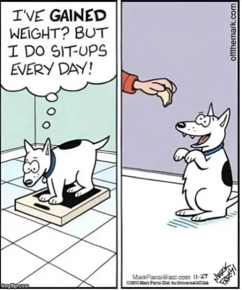 Excercise regularly | image tagged in repost,excercise regularly | made w/ Imgflip meme maker