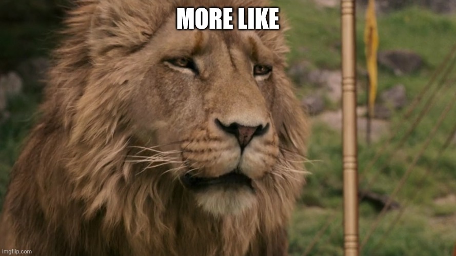 Do Not Cite the Deep Magic to Me, Witch | MORE LIKE | image tagged in do not cite the deep magic to me witch | made w/ Imgflip meme maker