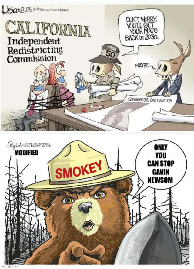 California election steal | image tagged in political,reposts,california election steal | made w/ Imgflip meme maker