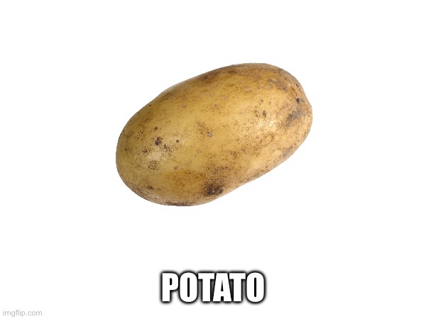 It’s a potato | POTATO | image tagged in potato | made w/ Imgflip meme maker