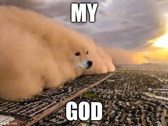 Dust storm dog | MY; GOD | image tagged in dust storm dog | made w/ Imgflip meme maker