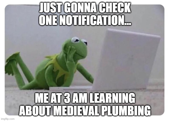 Doomscrolling Kermit | JUST GONNA CHECK ONE NOTIFICATION... ME AT 3 AM LEARNING ABOUT MEDIEVAL PLUMBING | image tagged in kermit looks at laptop | made w/ Imgflip meme maker