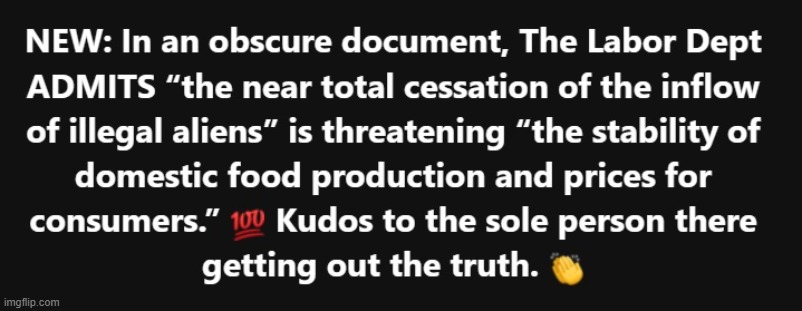 factoid | image tagged in donald trump | made w/ Imgflip meme maker