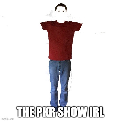 NULL WHAT DID I SAY | THE PKR SHOW IRL | made w/ Imgflip meme maker