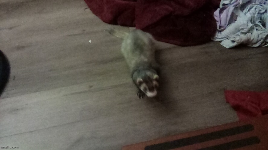 Youre cute ! | made w/ Imgflip meme maker