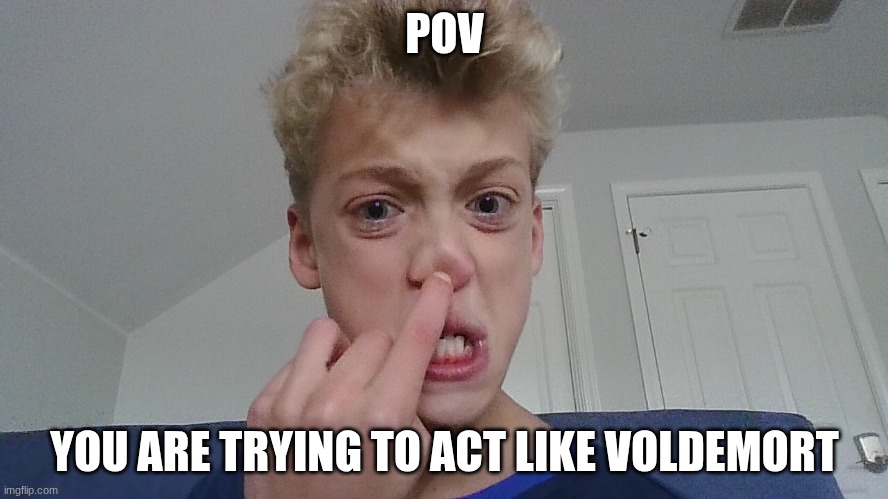 POV; YOU ARE TRYING TO ACT LIKE VOLDEMORT | image tagged in funny | made w/ Imgflip meme maker