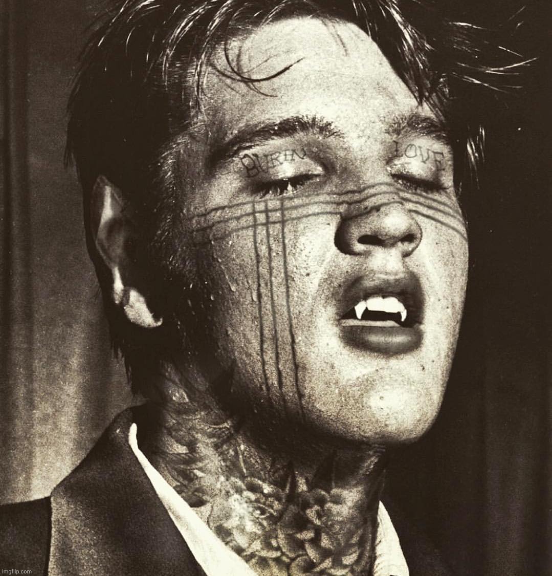 Elvis Vampire | image tagged in elvis vampire | made w/ Imgflip meme maker