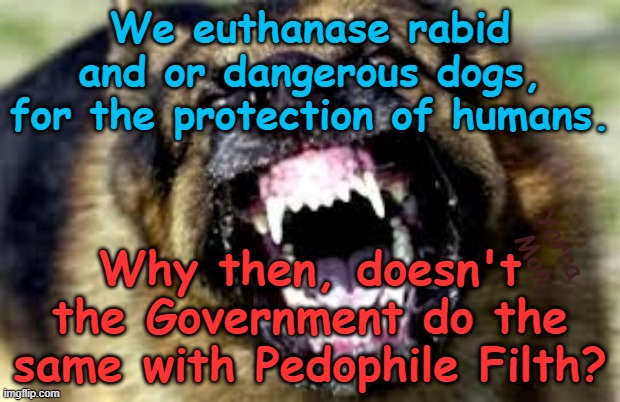 We euthanse rabid animal to protect humans, why not do the same with Pedophiles? | We euthanase rabid and or dangerous dogs, for the protection of humans. Why then, doesn't the Government do the same with Pedophile Filth? Yarra Man | image tagged in australia albanese,britain staalin grooming gangs,priests politicians hollywood,eu ursula von der leyen,predators | made w/ Imgflip meme maker