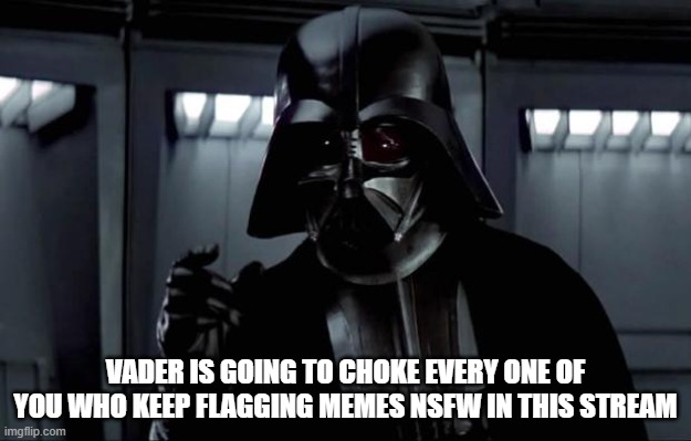 Stop NSFW flagging Losers | VADER IS GOING TO CHOKE EVERY ONE OF YOU WHO KEEP FLAGGING MEMES NSFW IN THIS STREAM | image tagged in darth vader | made w/ Imgflip meme maker