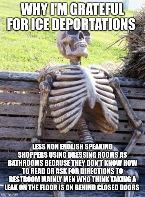 Waiting Skeleton | WHY I'M GRATEFUL FOR ICE DEPORTATIONS; LESS NON ENGLISH SPEAKING SHOPPERS USING DRESSING ROOMS AS BATHROOMS BECAUSE THEY DON'T KNOW HOW TO READ OR ASK FOR DIRECTIONS TO RESTROOM MAINLY MEN WHO THINK TAKING A LEAK ON THE FLOOR IS OK BEHIND CLOSED DOORS | image tagged in memes,waiting skeleton | made w/ Imgflip meme maker