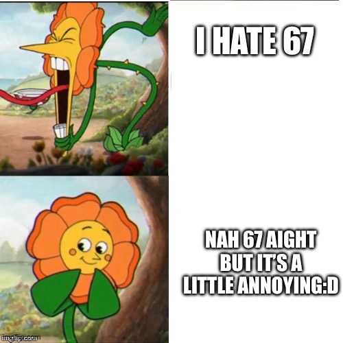yelling flower | I HATE 67; NAH 67 AIGHT BUT IT’S A LITTLE ANNOYING:D | image tagged in yelling flower | made w/ Imgflip meme maker
