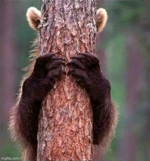 Chrisjoines1 Blank Meme Template