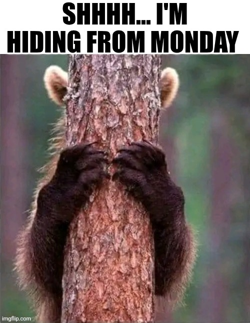 Shhhh... I'm Hiding From Monday | SHHHH... I'M HIDING FROM MONDAY | image tagged in chrisjoines1 | made w/ Imgflip meme maker