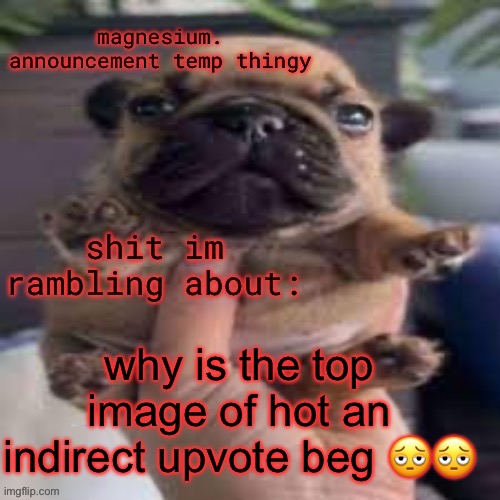 and the only person pointing it out is low rated </3 | why is the top image of hot an indirect upvote beg 🫩🫩 | image tagged in pug temp | made w/ Imgflip meme maker