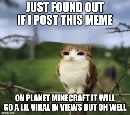 lalala | JUST FOUND OUT IF I POST THIS MEME; ON PLANET MINECRAFT IT WILL GO A LIL VIRAL IN VIEWS BUT OH WELL | image tagged in a meowl | made w/ Imgflip meme maker
