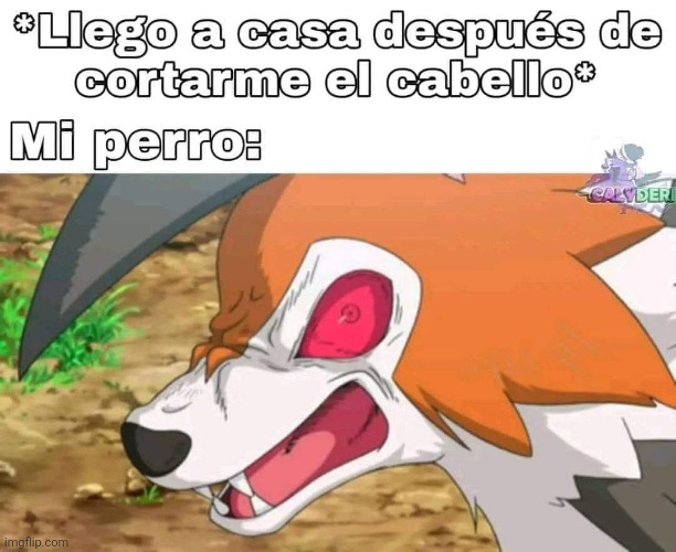 a8wrat.jpg