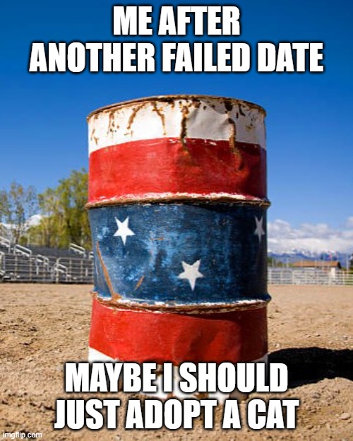 ME AFTER ANOTHER FAILED DATE | ME AFTER ANOTHER FAILED DATE; MAYBE I SHOULD JUST ADOPT A CAT | image tagged in dating apps,cats,dating,fails,society sucks,marriage | made w/ Imgflip meme maker