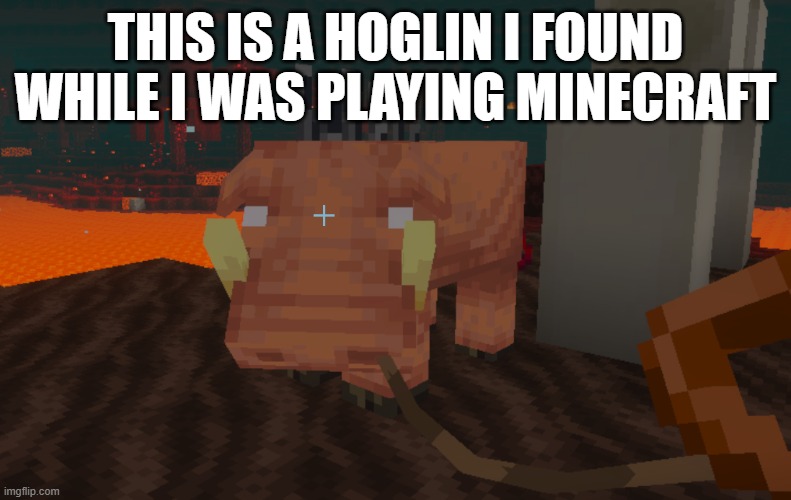Hoglin | THIS IS A HOGLIN I FOUND WHILE I WAS PLAYING MINECRAFT | image tagged in hoglin | made w/ Imgflip meme maker