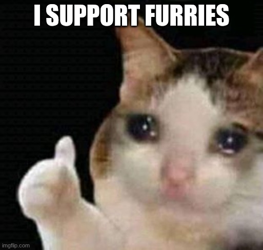 I do actually | I SUPPORT FURRIES | image tagged in sad thumbs up cat | made w/ Imgflip meme maker