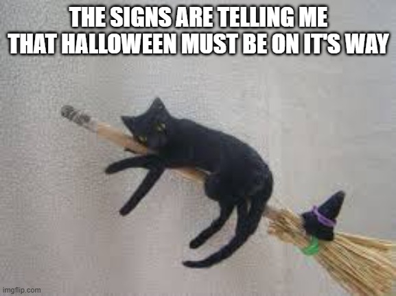 All signs are pointing to Halloween in the near future.   --  cats  -- | THE SIGNS ARE TELLING ME THAT HALLOWEEN MUST BE ON IT'S WAY | image tagged in cat,kitten,funny,black cat,halloween,broom | made w/ Imgflip meme maker