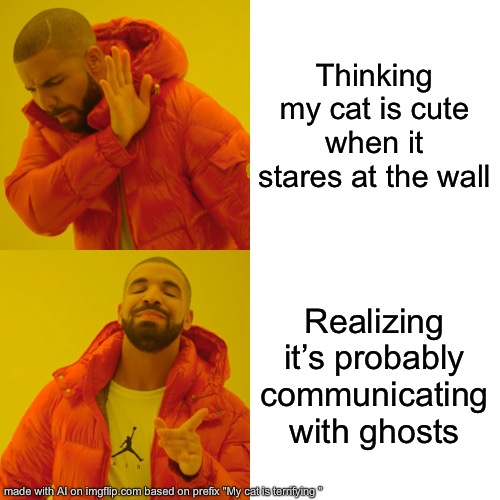 Drake Hotline Bling Meme | Thinking my cat is cute when it stares at the wall; Realizing it’s probably communicating with ghosts | image tagged in memes,drake hotline bling | made w/ Imgflip meme maker
