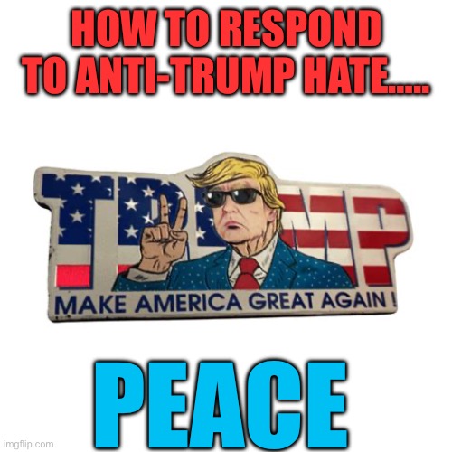 Retaliation against MAGA Haters | HOW TO RESPOND TO ANTI-TRUMP HATE….. PEACE | image tagged in gif,president trump,maga,peace,middle east | made w/ Imgflip meme maker