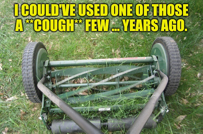 Lawn mower | I COULD'VE USED ONE OF THOSE A **COUGH** FEW ... YEARS AGO. | image tagged in lawn mower | made w/ Imgflip meme maker