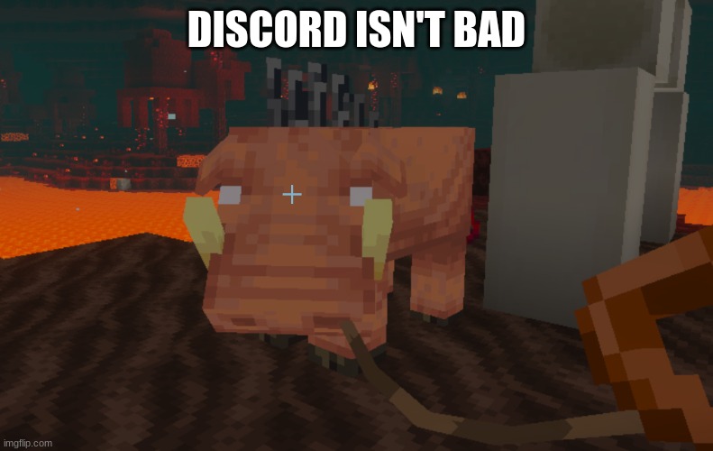 Hoglin | DISCORD ISN'T BAD | image tagged in hoglin | made w/ Imgflip meme maker