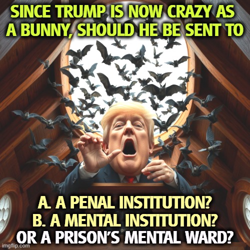 Trump? Check. Bats? Check. Belfry? Check. OK. | SINCE TRUMP IS NOW CRAZY AS 
A BUNNY, SHOULD HE BE SENT TO; A. A PENAL INSTITUTION?
B. A MENTAL INSTITUTION? OR A PRISON'S MENTAL WARD? | image tagged in trump check bats check belfry check crazy insane senile,trump,bats,belfry,mental illness,prison | made w/ Imgflip meme maker
