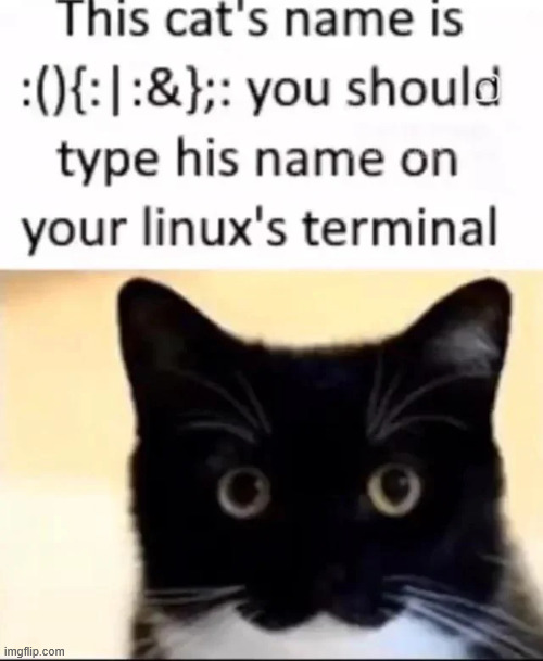 gonna start linuxposting | made w/ Imgflip meme maker
