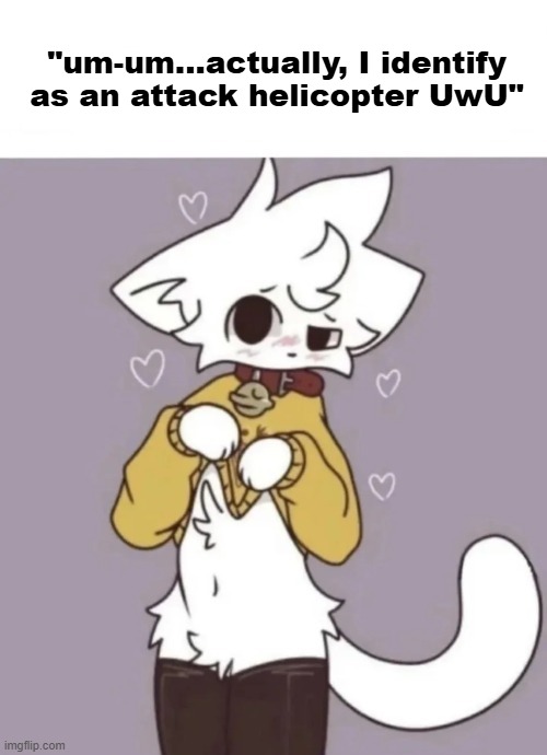 "Pro-Trans Rights" guys showing their true aura | "um-um...actually, I identify as an attack helicopter UwU" | image tagged in how did you know i play x,bullshit,transgender,trans rights,trans,furry | made w/ Imgflip meme maker