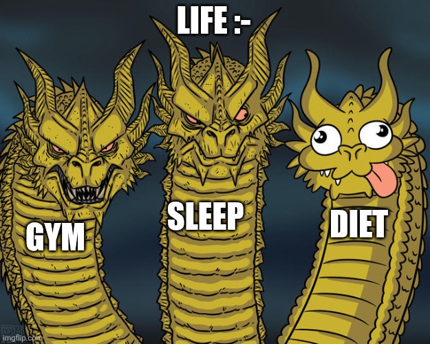 Three-headed Dragon | LIFE :-; SLEEP; DIET; GYM | image tagged in three-headed dragon | made w/ Imgflip meme maker
