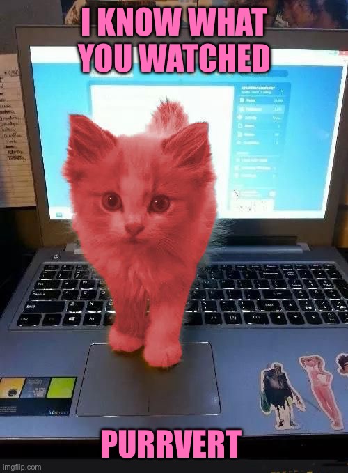 RayCat blocking monitor | I KNOW WHAT YOU WATCHED; PURRVERT | image tagged in raycat blocking monitor | made w/ Imgflip meme maker