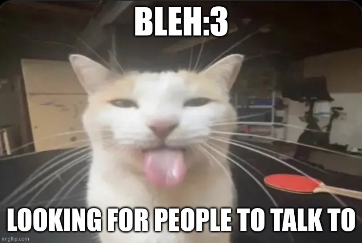 bleh | BLEH:3; LOOKING FOR PEOPLE TO TALK TO | image tagged in blehh cat | made w/ Imgflip meme maker