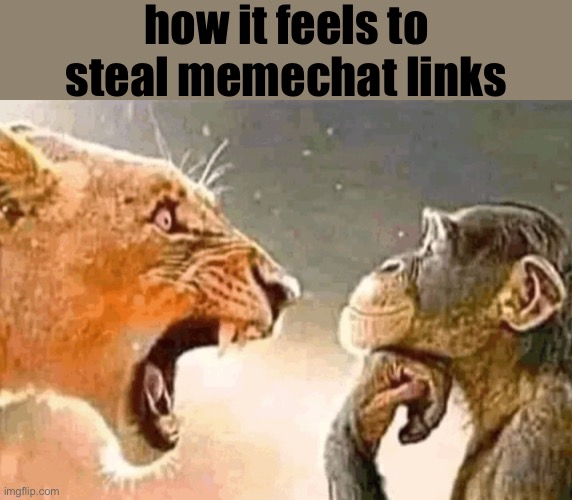 dumbass yelling at M O N K E | how it feels to steal memechat links | image tagged in dumbass yelling at m o n k e | made w/ Imgflip meme maker