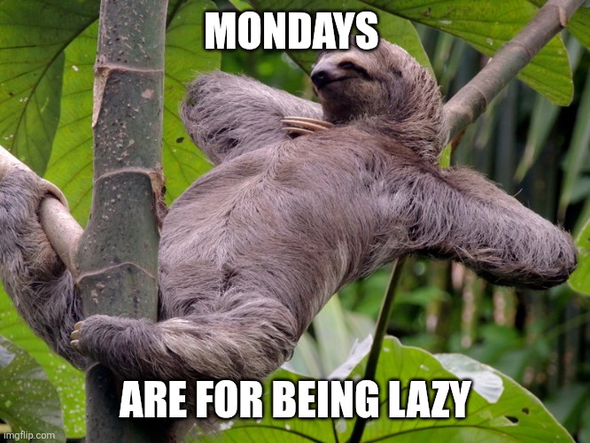 Mondays lazy days | MONDAYS; ARE FOR BEING LAZY | image tagged in lazy sloth,funny memes | made w/ Imgflip meme maker