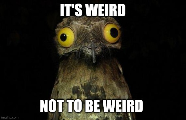 Weird | IT'S WEIRD; NOT TO BE WEIRD | image tagged in memes,weird stuff i do potoo,funny memes | made w/ Imgflip meme maker