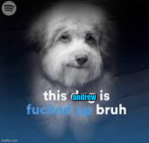 This dog is fucked up bruh | andrew | image tagged in this dog is fucked up bruh | made w/ Imgflip meme maker
