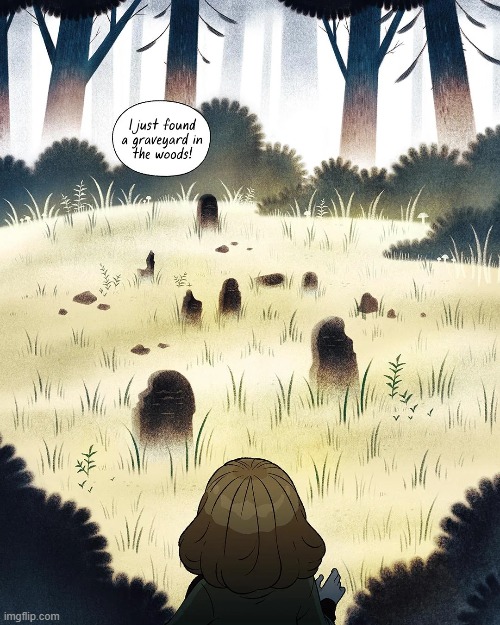 image tagged in graveyard,woods,forest | made w/ Imgflip meme maker