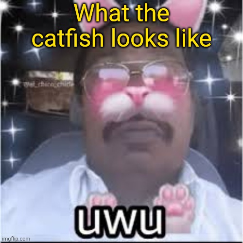 Huh | What the catfish looks like | image tagged in most indian femboy | made w/ Imgflip meme maker