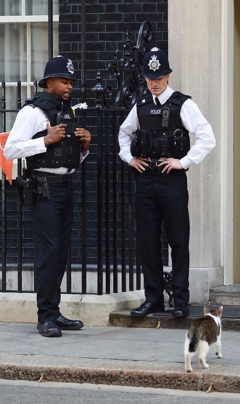 Pussy Patrol Blank Meme Template