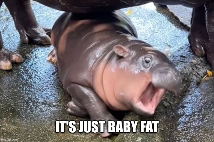 Moo Deng | IT'S JUST BABY FAT | image tagged in moo deng | made w/ Imgflip meme maker