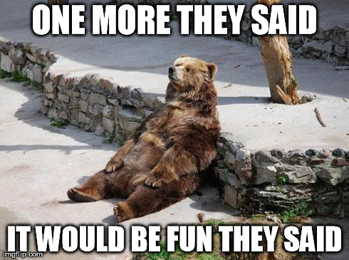 ONE MORE THEY SAID IT WOULD BE FUN THEY SAID | image tagged in bear dont care | made w/ Imgflip meme maker