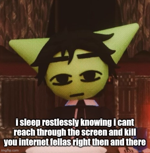vrochacho what | i sleep restlessly knowing i cant reach through the screen and kill you internet fellas right then and there | image tagged in vrochacho what | made w/ Imgflip meme maker
